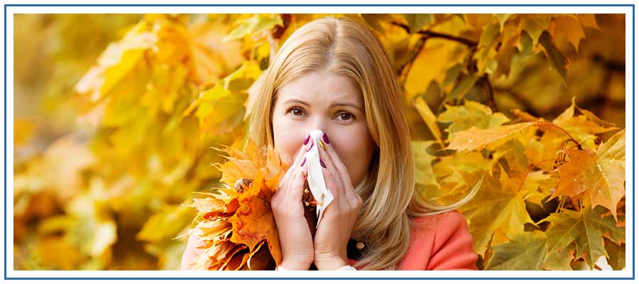 Allergic Reaction Treatment Specialist Near Me in Honolulu, HI Allergic Reaction Treatment Specialist Near Me in Honolulu, HI